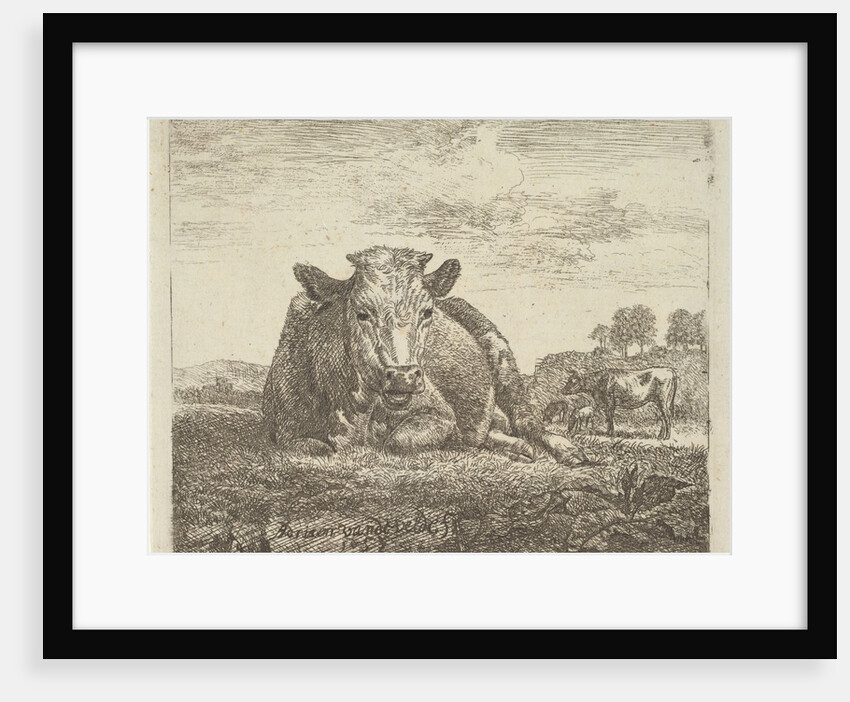 Recumbent Cow, from Different Animals, 1657 by Adriaen van de Velde