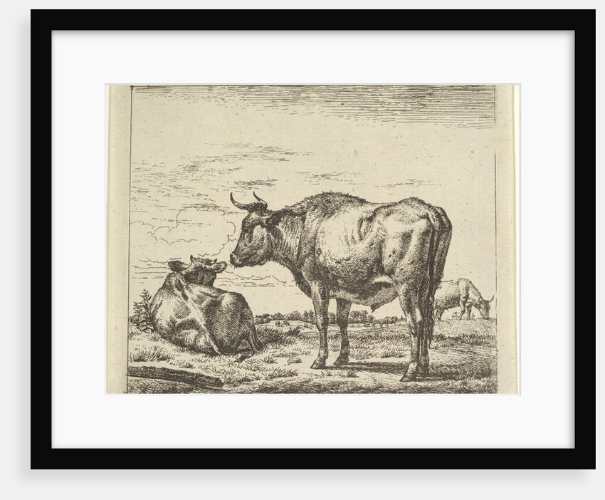 Standing Bull, from Different Animals by Adriaen van de Velde