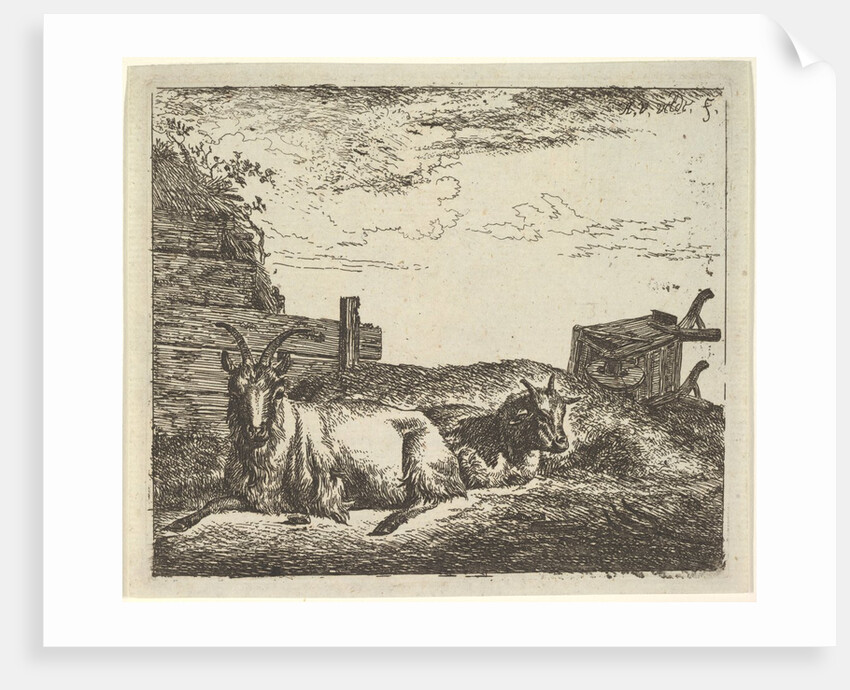 Recumbent Goats, from Different Animals by Adriaen van de Velde