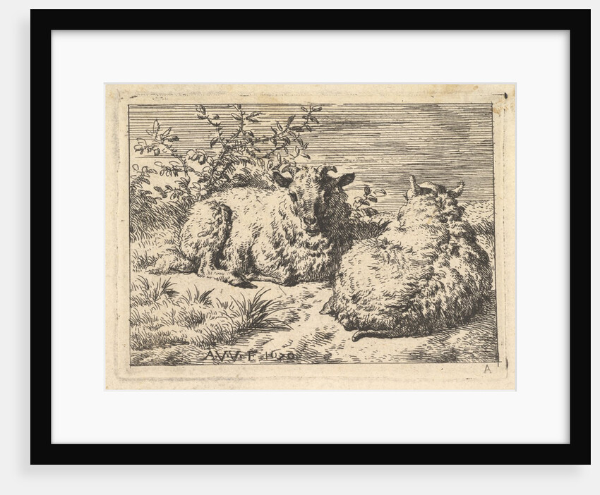 Two Recumbent Sheep, 1670 by Adriaen van de Velde