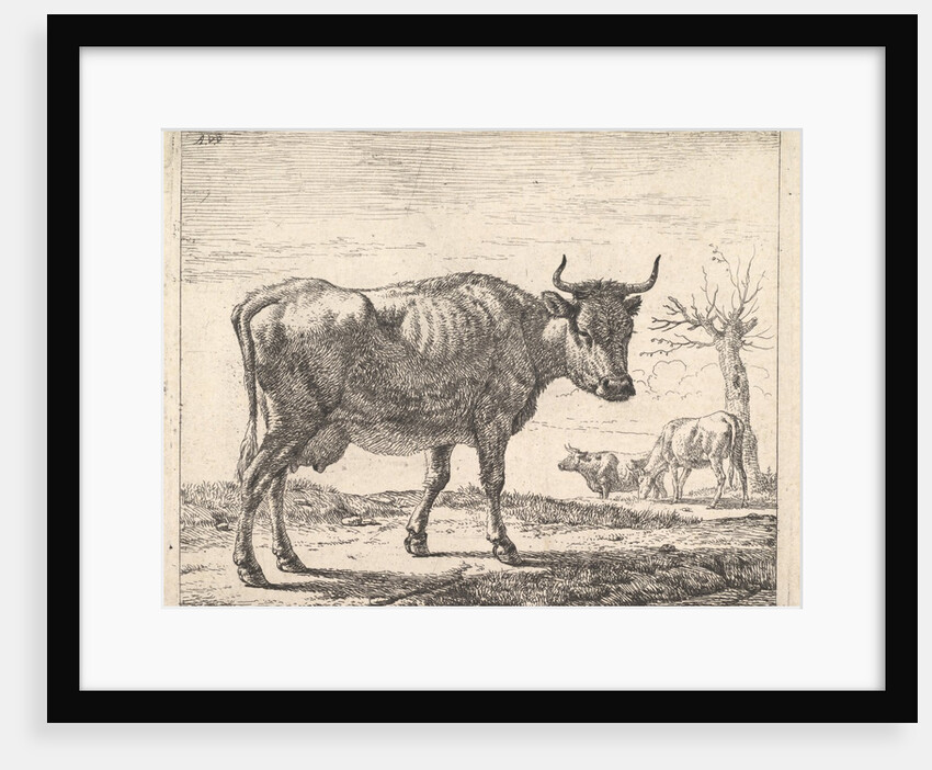 Three Cows by Adriaen van de Velde