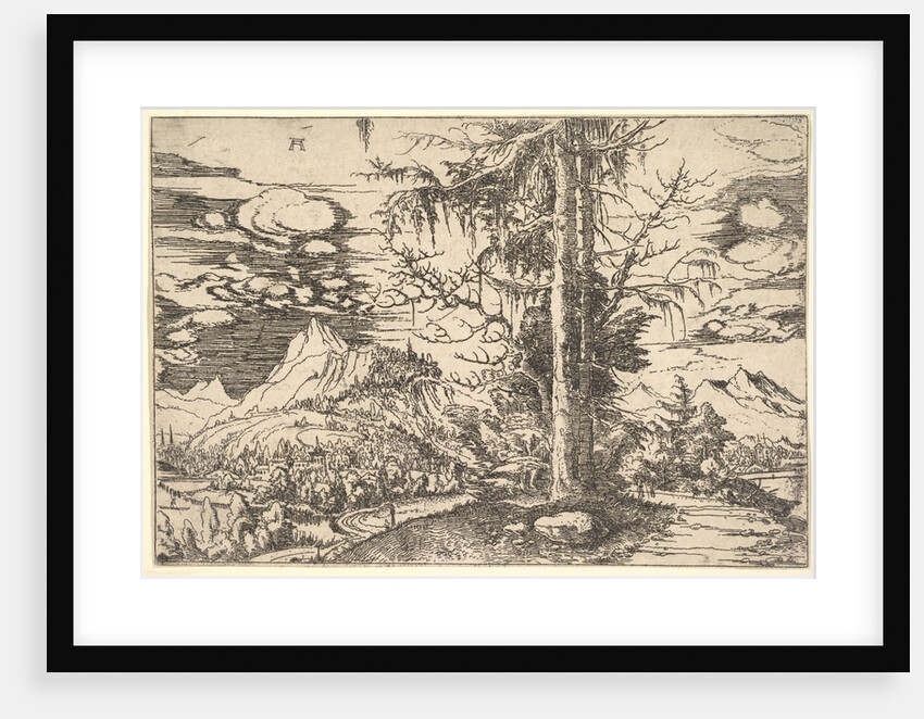 Landscape with a Double Spruce, ca. 1521-22 by Albrecht Altdorfer