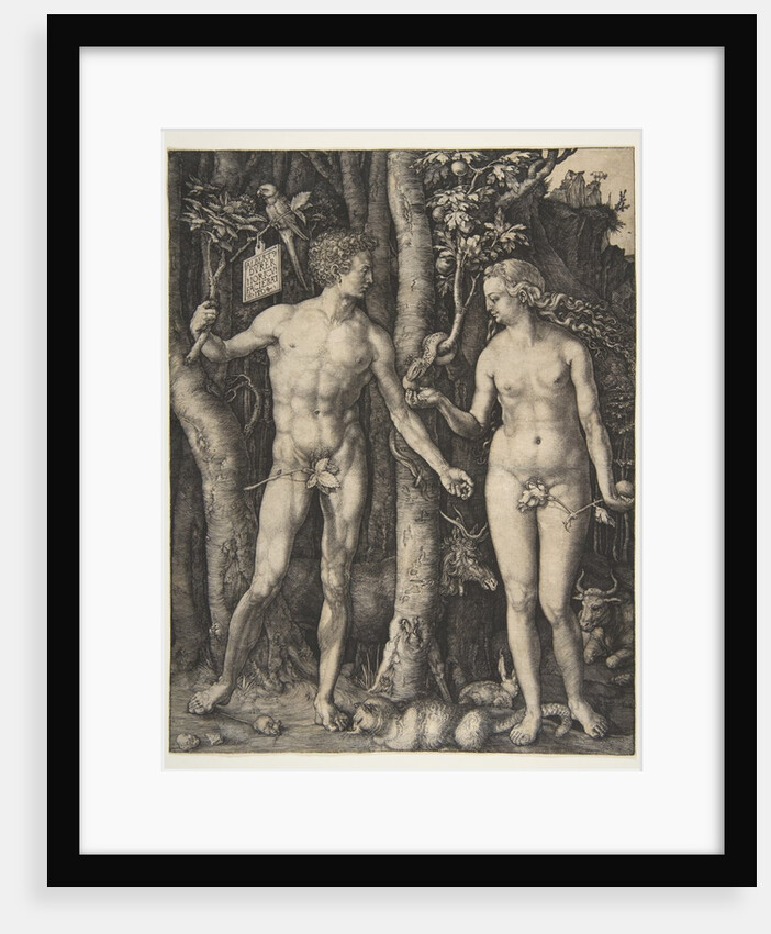Adam and Eve, 1504 by Albrecht Dürer