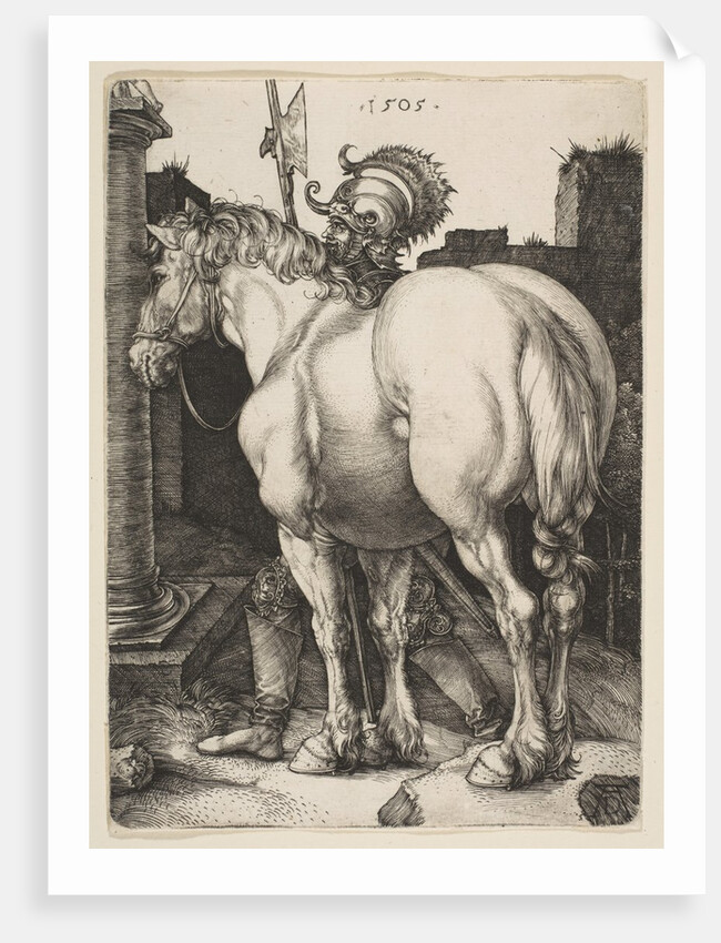 The Large Horse, 1505 by Albrecht Dürer
