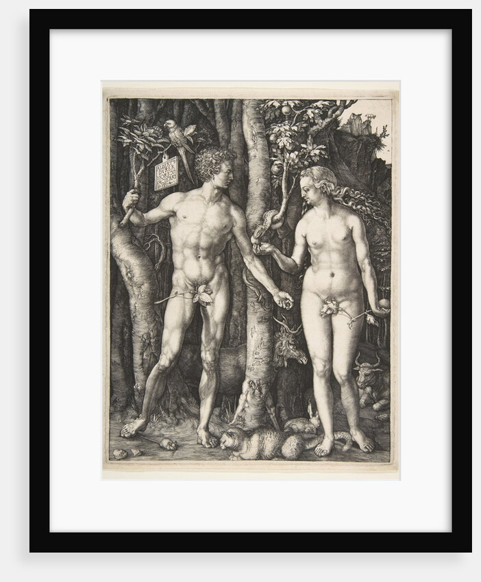 Adam and Eve, 1504 by Albrecht Dürer