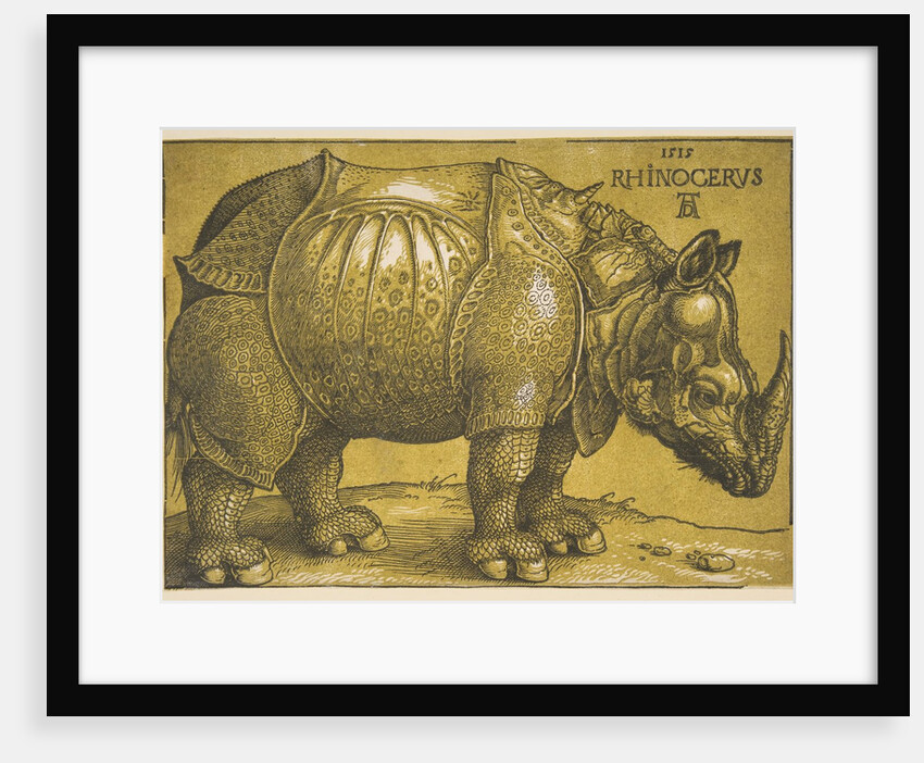 The Rhinoceros, after 1620 by Albrecht Dürer