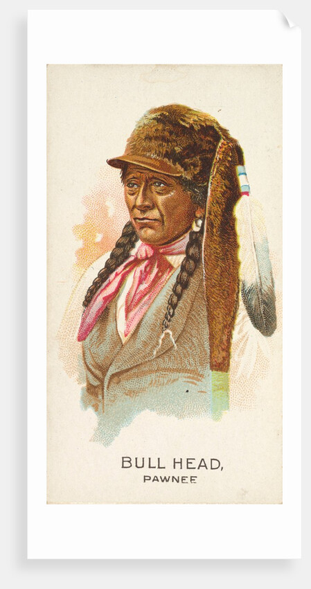 Bull Head, Pawnee, from the American Indian Chiefs series for Allen & Ginter Cigarett…, 1888 by Allen & Ginter