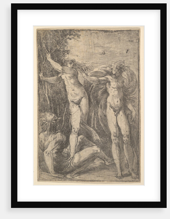 Apollo and Daphne, ca. 1538-40 by Andrea Schiavone