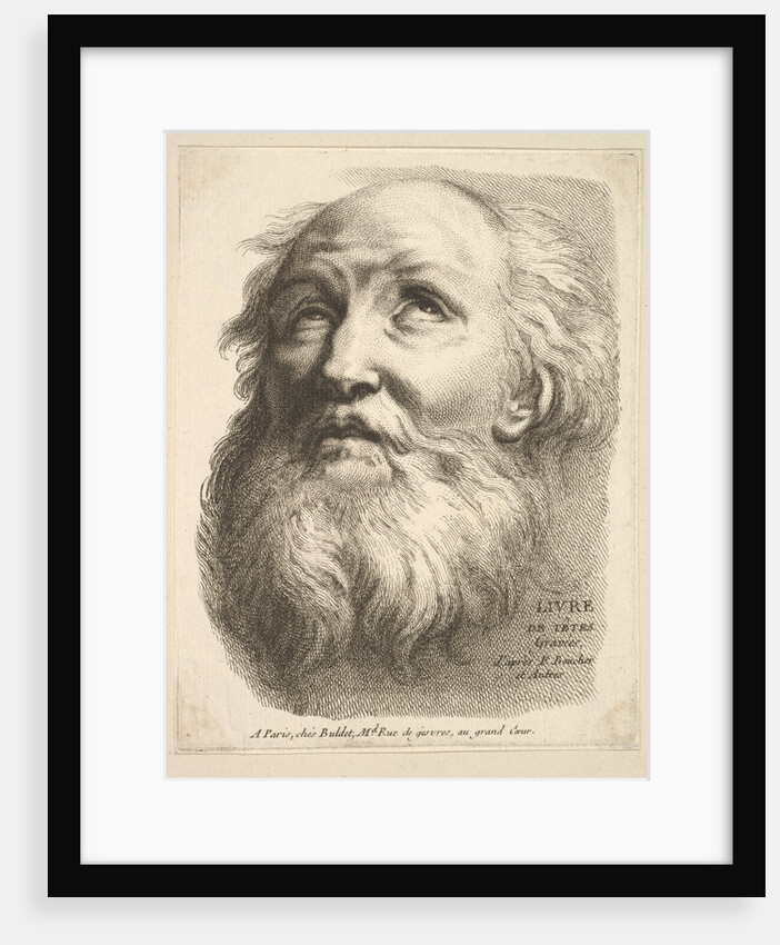 Frontispiece: Head of a Bearded Man, from 'Livre de Têtes Gravées d'apres F. Bouch…, 18th century by Unknown