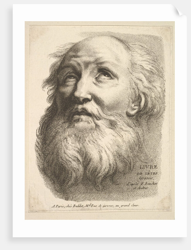 Frontispiece: Head of a Bearded Man, from 'Livre de Têtes Gravées d'apres F. Bouch…, 18th century by Unknown