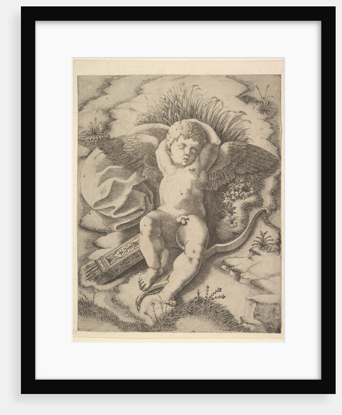 Cupid Sleeping, 16th century by Unknown