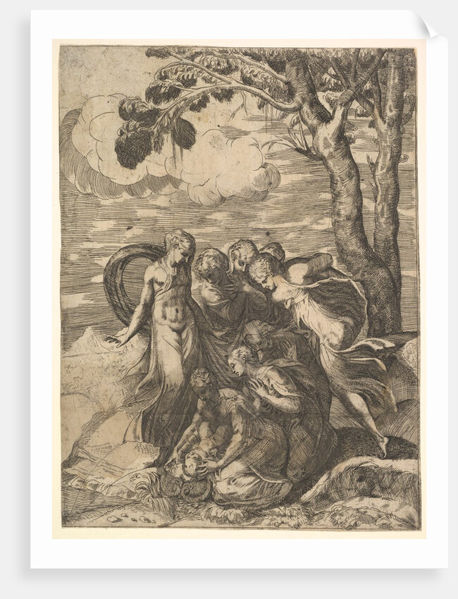Moses Rescued from the Nile, 16th century by Battista del Moro