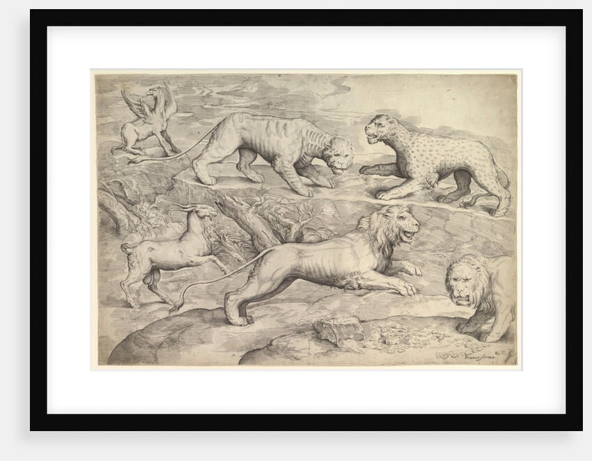 Six Animals, including lions, a tiger, a leopard, a griffin, and a goat, ca. 1530-61 by Battista Franco Veneziano