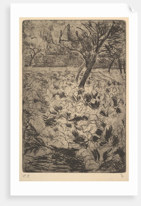 The Cabbage Field, ca. 1880 by Camille Pissarro