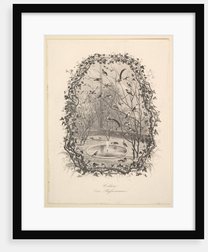 The Sparrow Aviary, 1843 by Charles Francois Daubigny