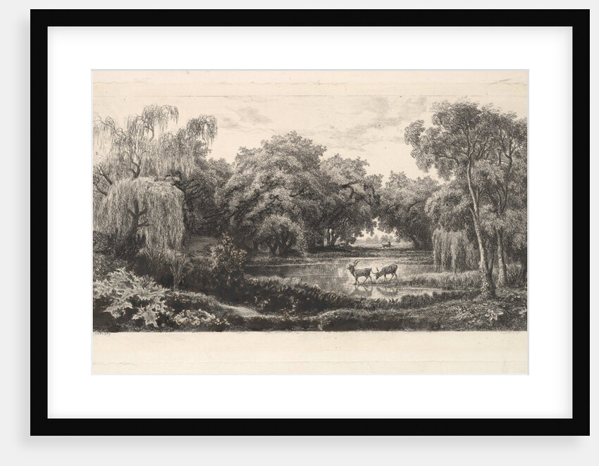 The Deer Pond, 1837-78 by Charles Francois Daubigny