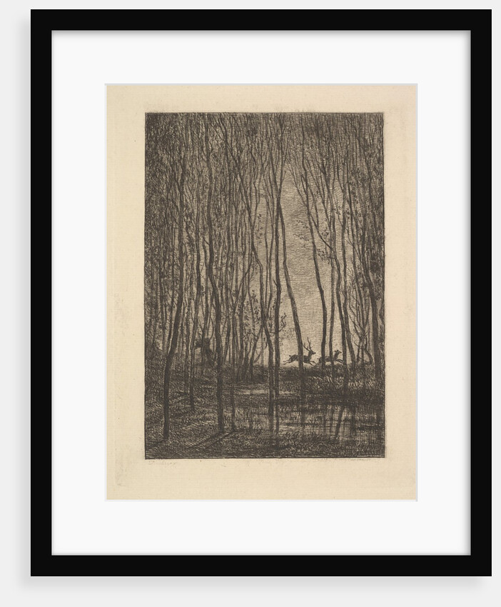 Deer in the Woods, 1850 by Charles Francois Daubigny
