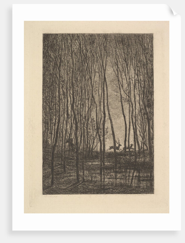Deer in the Woods, 1850 by Charles Francois Daubigny