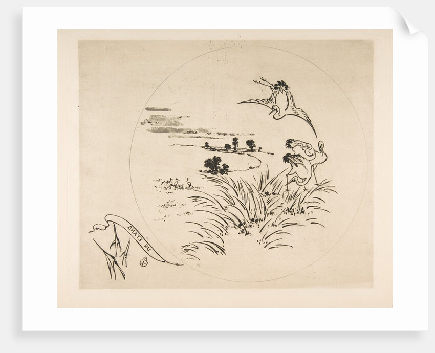 Decoration for a Plate: A Pond, 1870 by Felix Bracquemond