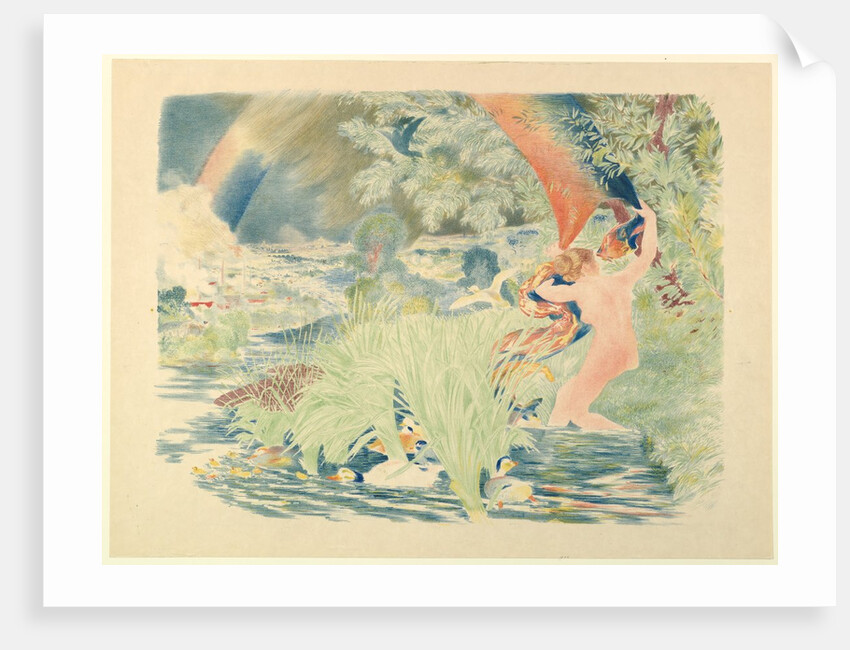 The Rainbow, 1893 by Felix Bracquemond