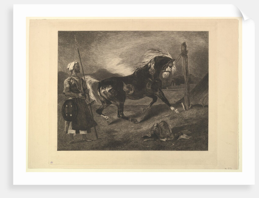 Cheval arabe au piquet, d'après Delacroix, 1857 by Felix Bracquemond