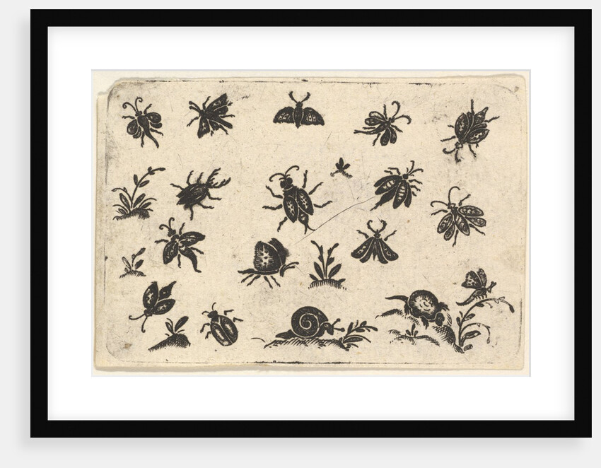 Small Motifs of Insects and Plants, 1596 by Georg Herman