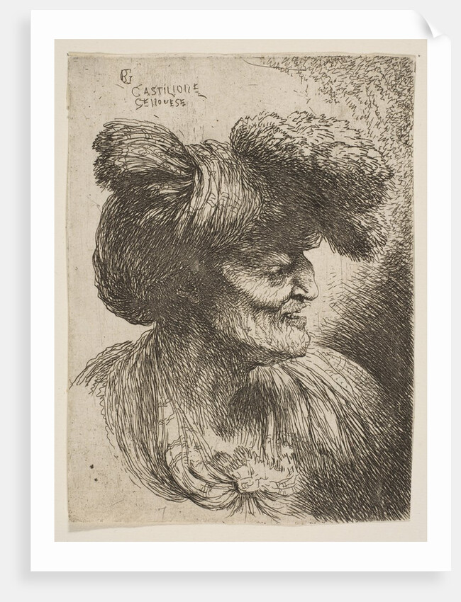 Bust of beardless old man in profile facing right, from the series of 'Small Head…, ca. 1645-1650 by Giovanni Benedetto Castiglione