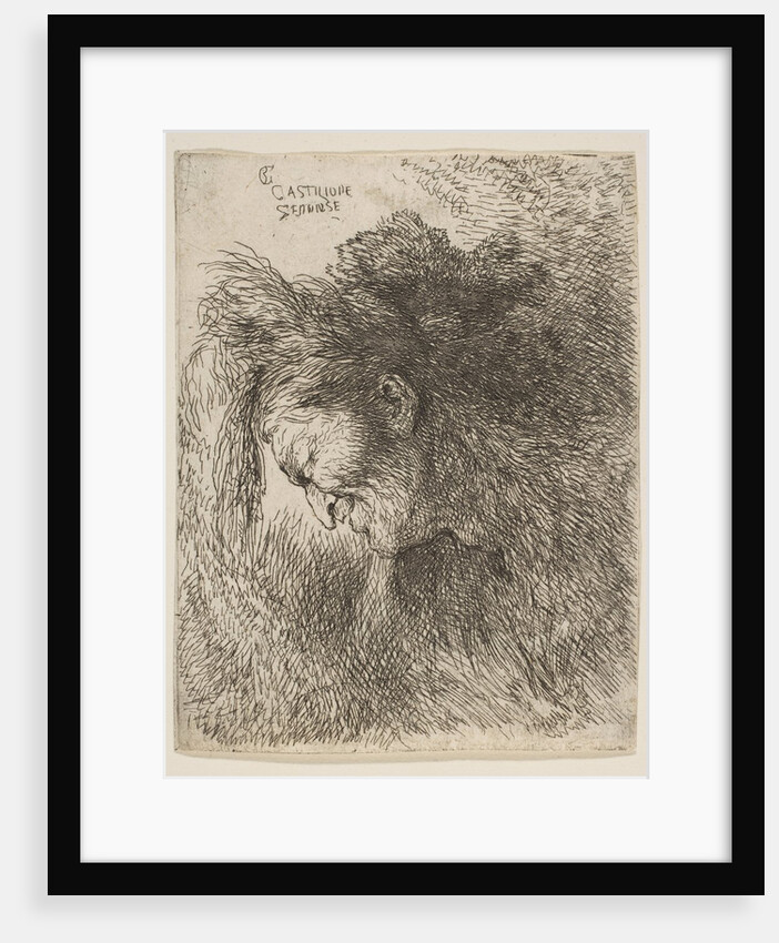 Head of an old man looking down, facing Left, from the series of 'Small Heads in …, ca. 1645-1650 by Giovanni Benedetto Castiglione