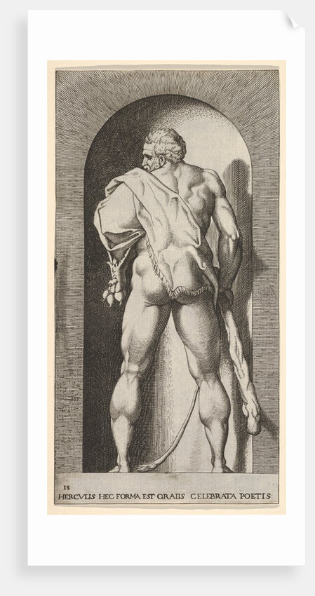 Plate 15: Hercules standing in a niche, wearing a lion skin and holding a club, viewed fro…, 1526 by Giovanni Jacopo Caraglio
