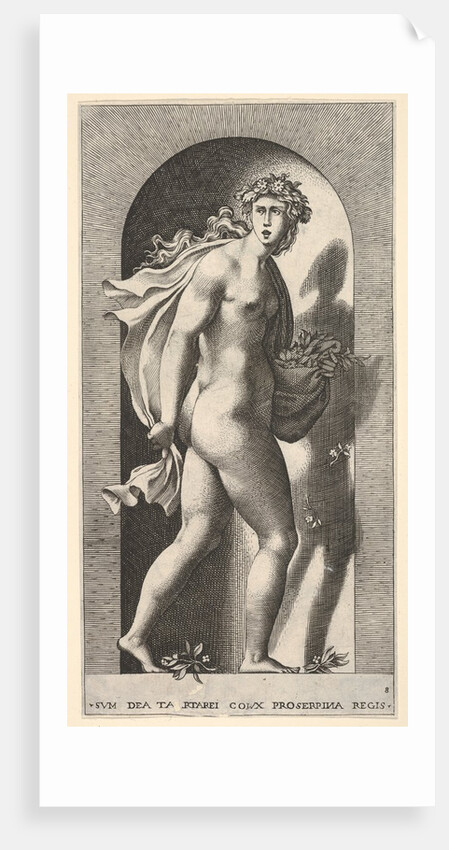 Plate 8: Prosperpina, standing in a niche, turning to the right while holding mantle in bo…, 1526 by Giovanni Jacopo Caraglio
