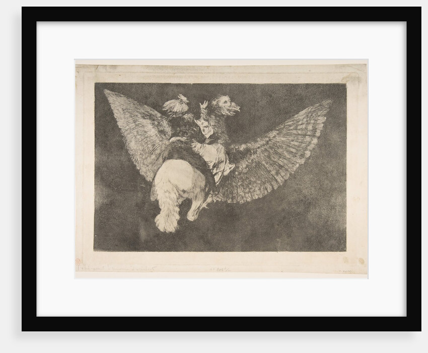 Plate 5 from the 'Disparates': Flying Folly, ca. 1816-23 by Francisco Goya
