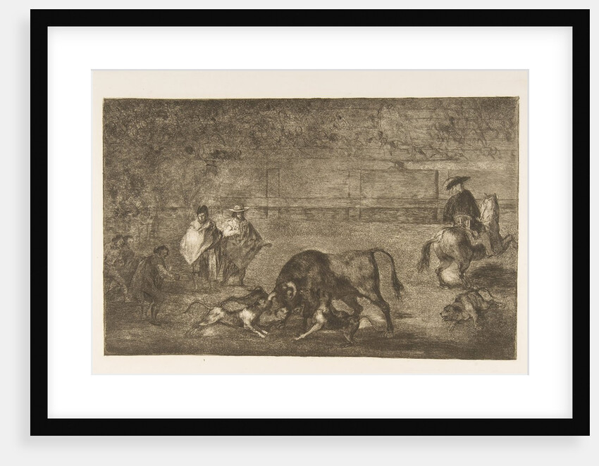 Plate C: The dogs let loose on the bull., ca. 1816 by Francisco Goya
