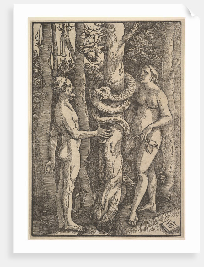 Adam and Eve, 1514 by Hans Baldung