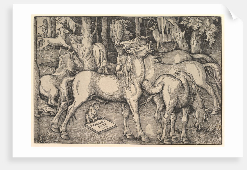 Group of Seven Horses, 1534 by Hans Baldung