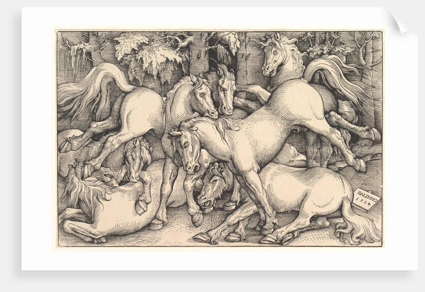 Group of Seven Horses, 1534 by Hans Baldung