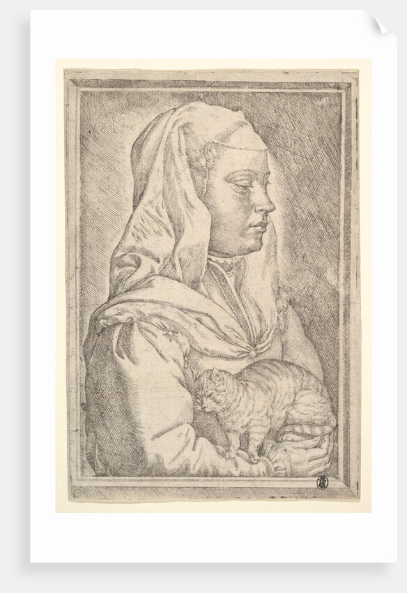 Girl with a Cat, 1546 by Jan Cornelisz Vermeyen