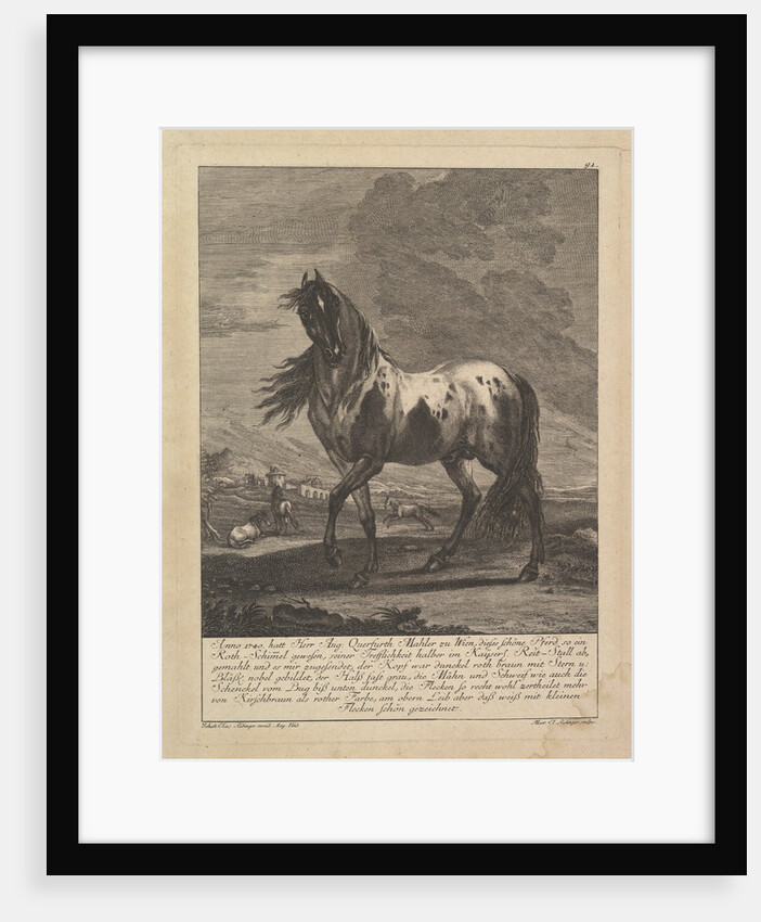Horse, 18th Century by Unknown