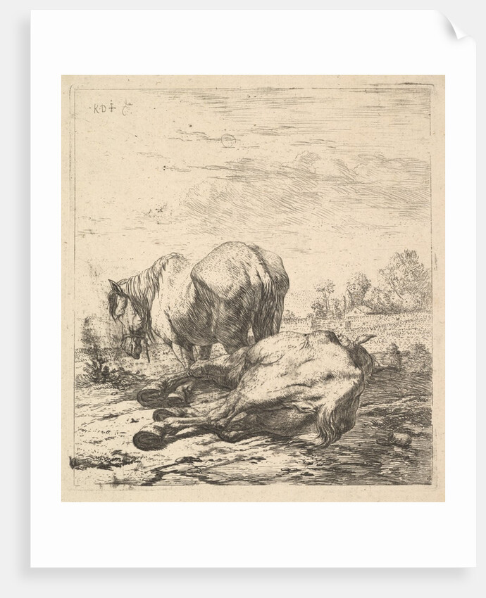 The Two Horses, 17th century by Karel Du Jardin