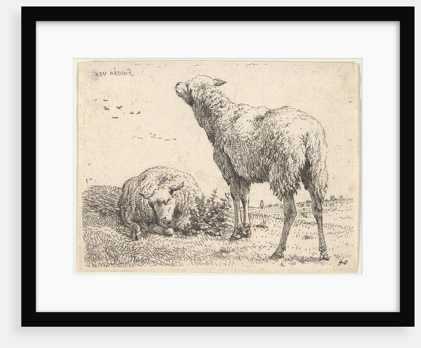 Two sheep, one shown frontally in a reclining position with its legs folded underneath…, ca. 1655 by Karel Du Jardin