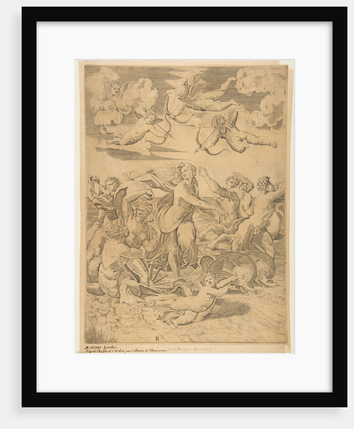Galatea riding in a shell pulled through the water by dolphins, a cupid below and f…, ca. 1515-27 by Marco Dente
