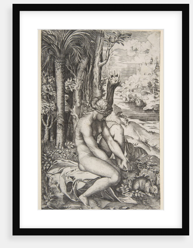 Venus removing a thorn from her left foot while seated on a cloth next to trees, a …, ca. 1515-27 by Marco Dente