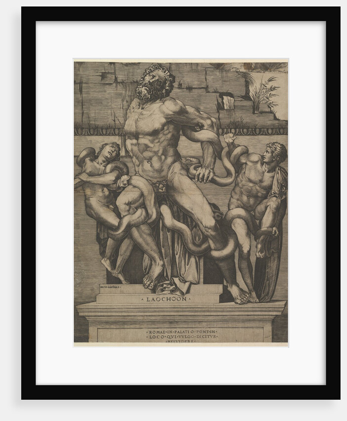 Speculum Romanae Magnificentiae: Laocoon, 16th century by Marco Dente