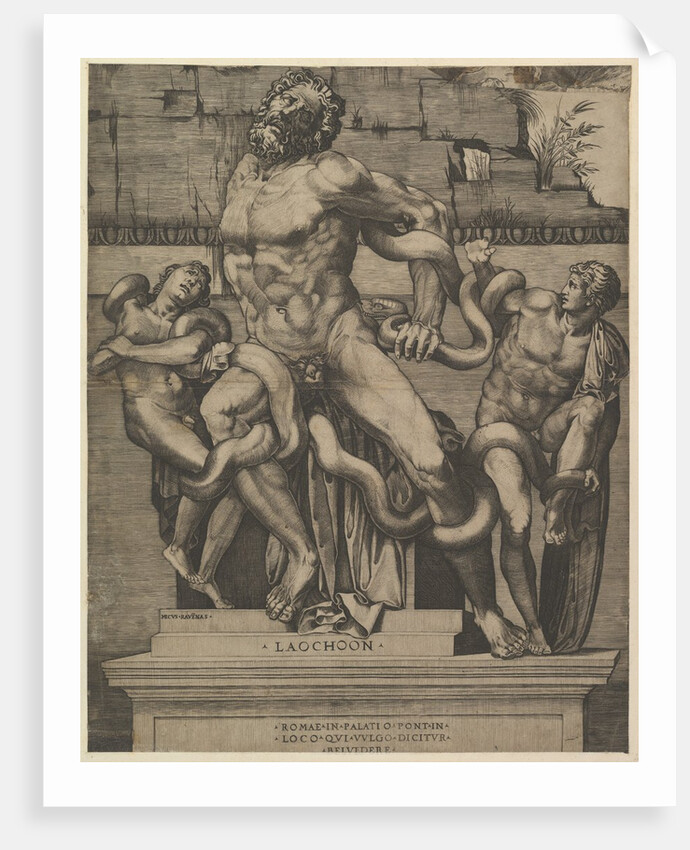Speculum Romanae Magnificentiae: Laocoon, 16th century by Marco Dente