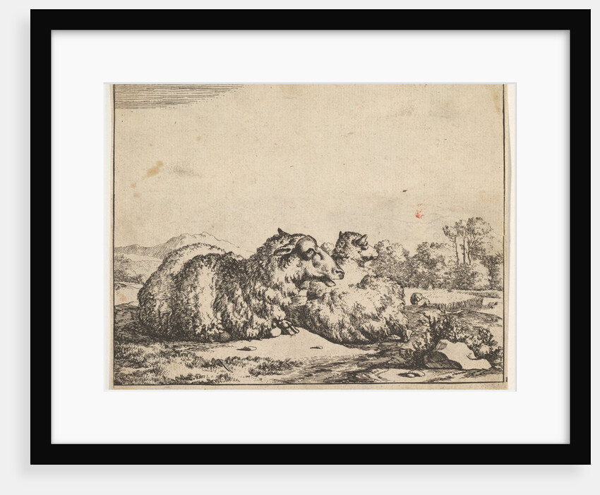 Sheep, from a set of 16 plates, 1664 by Marcus de Bye