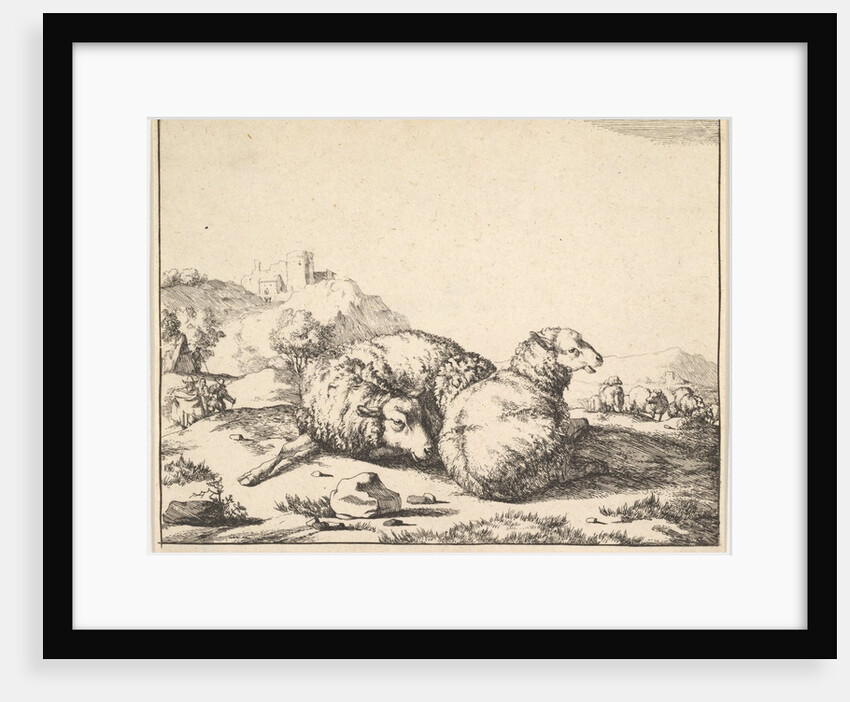Sheep, from a set of 16 plates, 1664 by Marcus de Bye