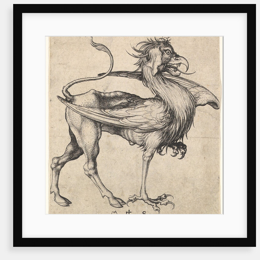 Griffin, ca. 1435-1491 by Martin Schongauer