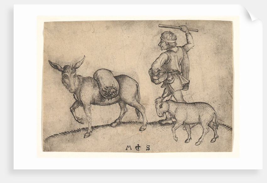 The Miller, ca. 1435-1491 by Martin Schongauer