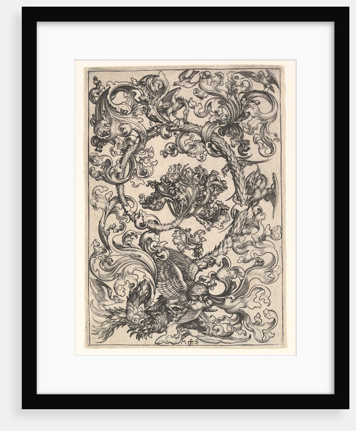 Ornament with Owl Mocked by Day Birds, ca. 1435-1491 by Martin Schongauer