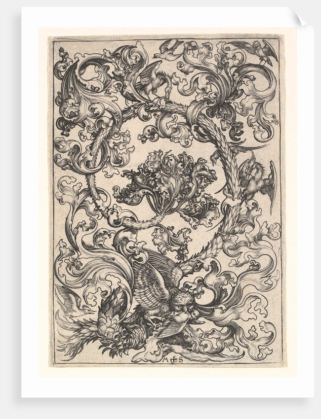 Ornament with Owl Mocked by Day Birds, ca. 1435-1491 by Martin Schongauer