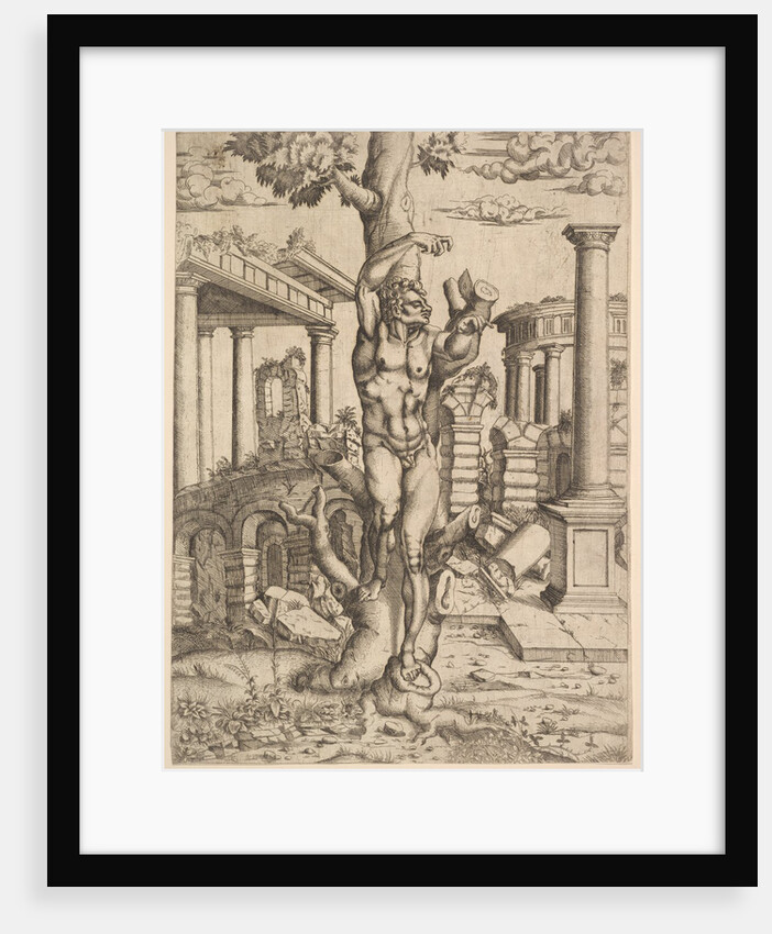 Man Against a Tree, ca. 1543-44 by Master IQV